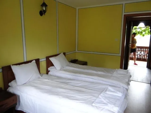 недкова къща 3* Koprivştitsa